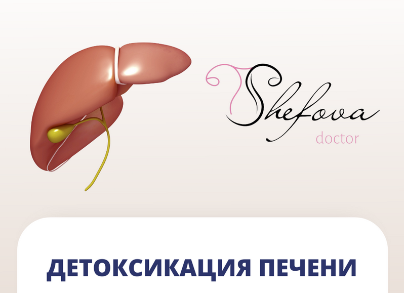 [Шефова Юлия] [dr.shefova] Детоксикация печени (20_0.png